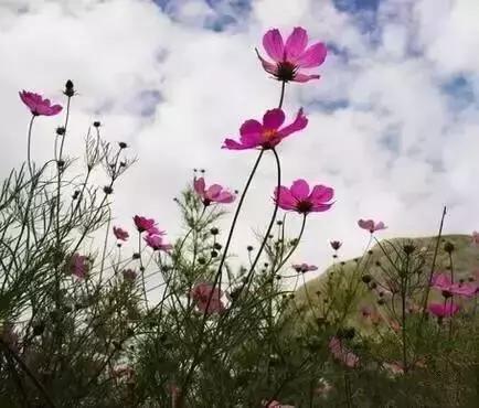 多彩的西双版纳,多彩云南版纳