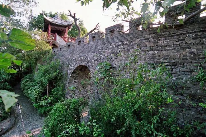 万万没想到!它低调了450多年,却因上海迪士尼一夜间火遍全国!