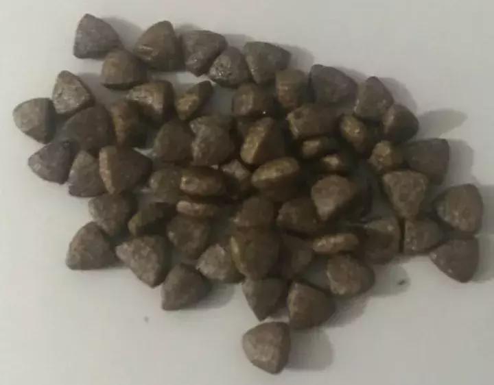 海洋之星质量好吗,海洋之星新品测评