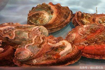 漳州市特产有哪些,漳州的特产有哪些介绍