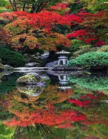 行路难诗词鉴赏,诗词赏析