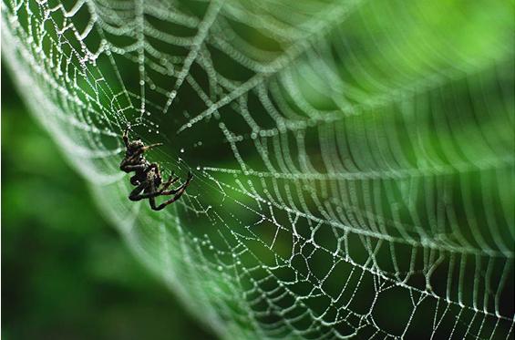 十节课摄影入门教程,什么是摄影斜线构图