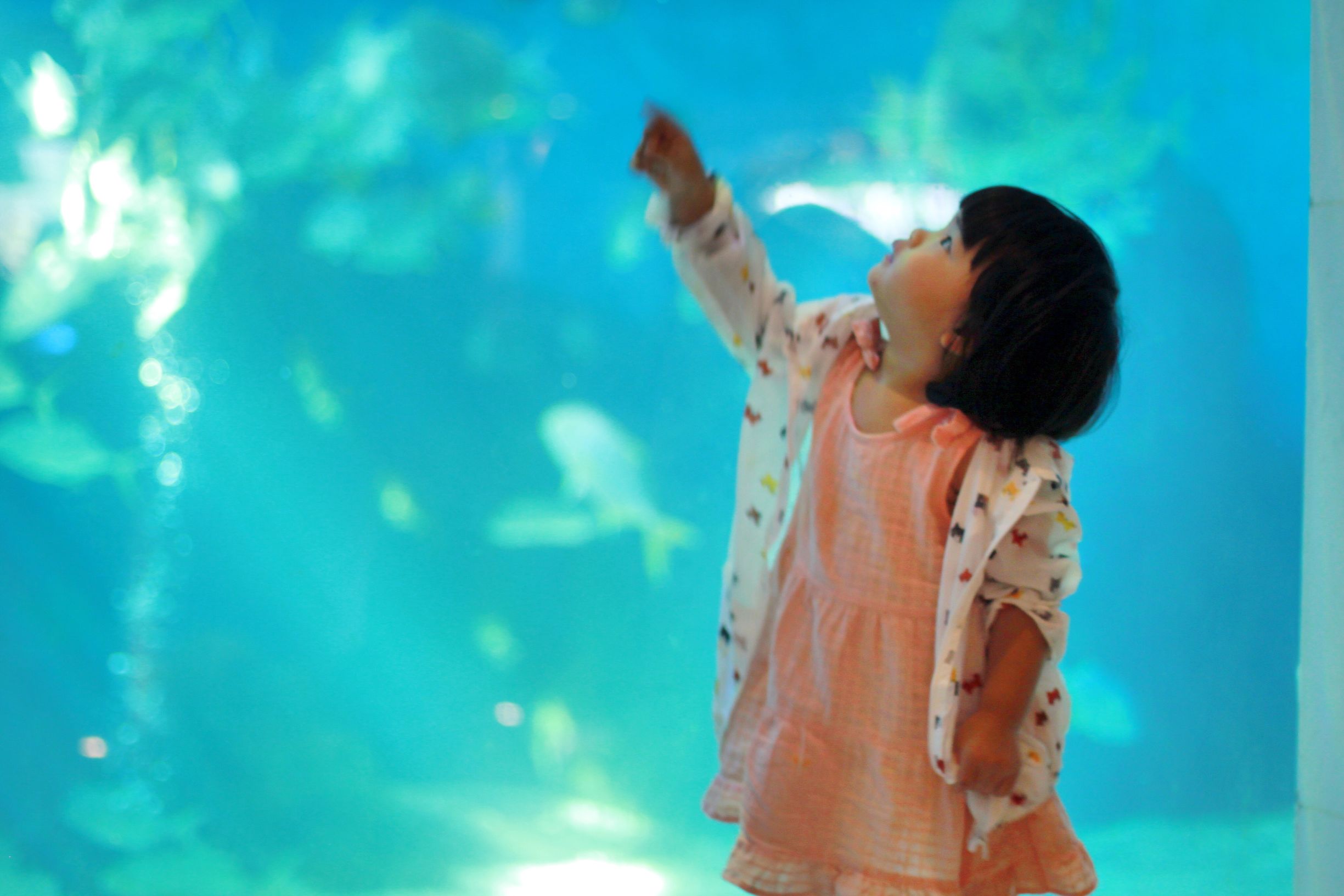 三亚度假之旅完美结束,三亚度假巨无霸五天五夜玩不腻