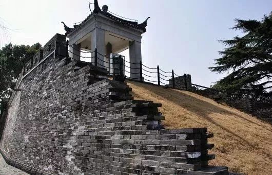 万万没想到!它低调了450多年,却因上海迪士尼一夜间火遍全国!