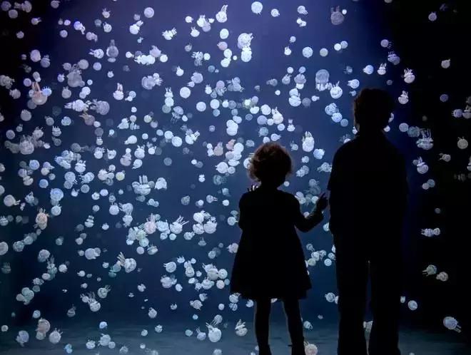 加拿大外星酒店,国外外星酒店