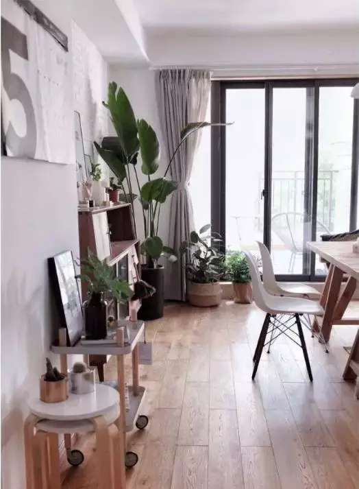 爱种花的姑娘,爱养花的女人都想把生活过的精致