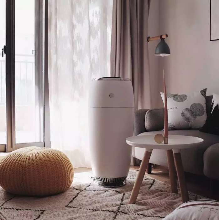 爱种花的姑娘,爱养花的女人都想把生活过的精致