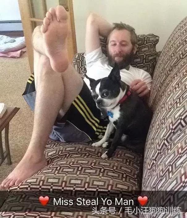 养了这么久的狗竟然又初恋了,养了多年的狗突然接近我