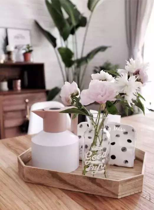 爱种花的姑娘,爱养花的女人都想把生活过的精致