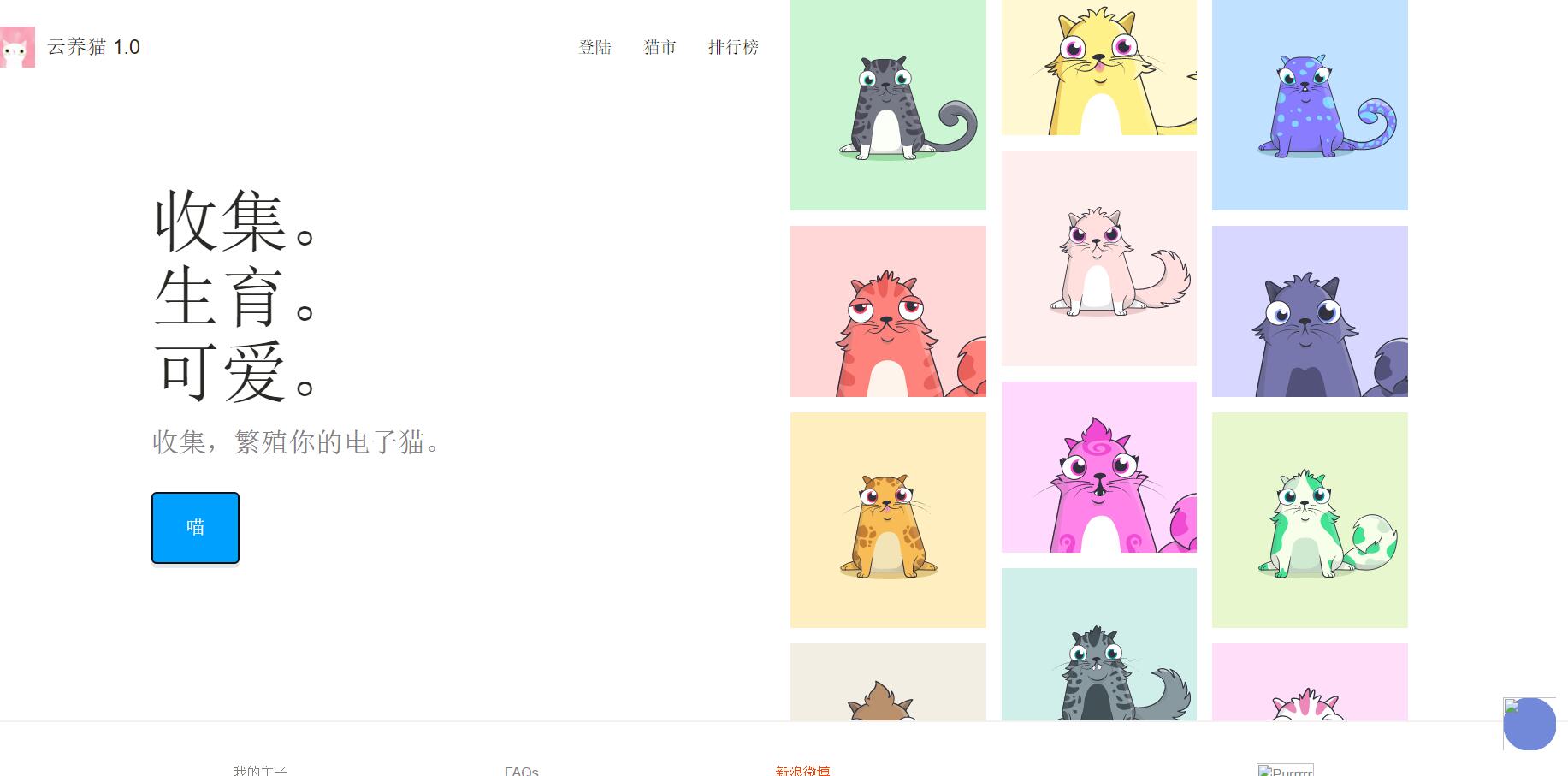 云养猫创新,云养猫系列视频