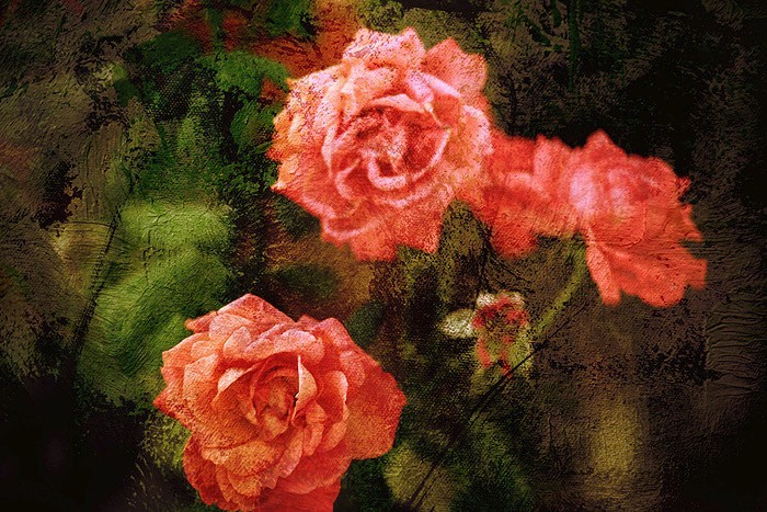 photoshop教程最简单的教程,photoshop照片后期教程