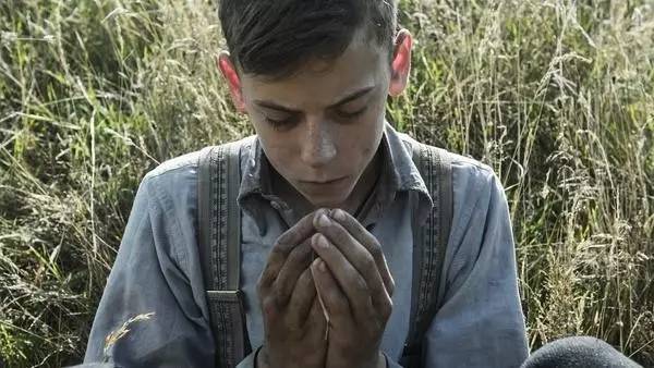 10部冷门佳片,2020冷门佳片排行榜