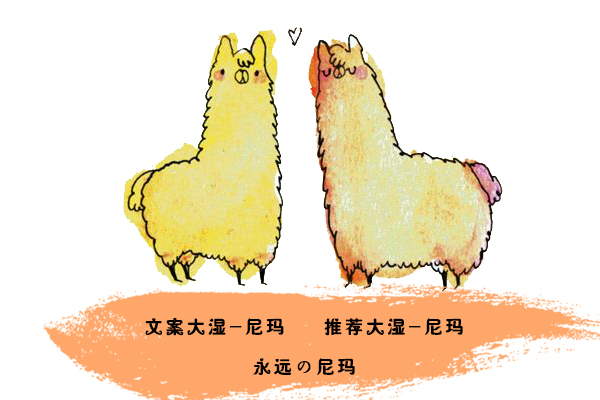 日本福袋2022,不可错过的日本福袋