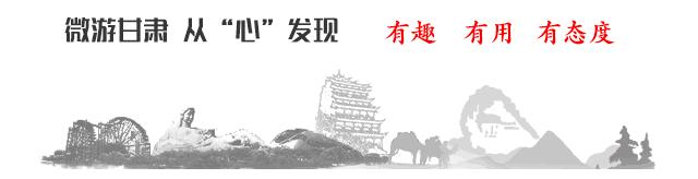 陇原县特产,正宗宁夏中宁纯头茬贡果枸杞子
