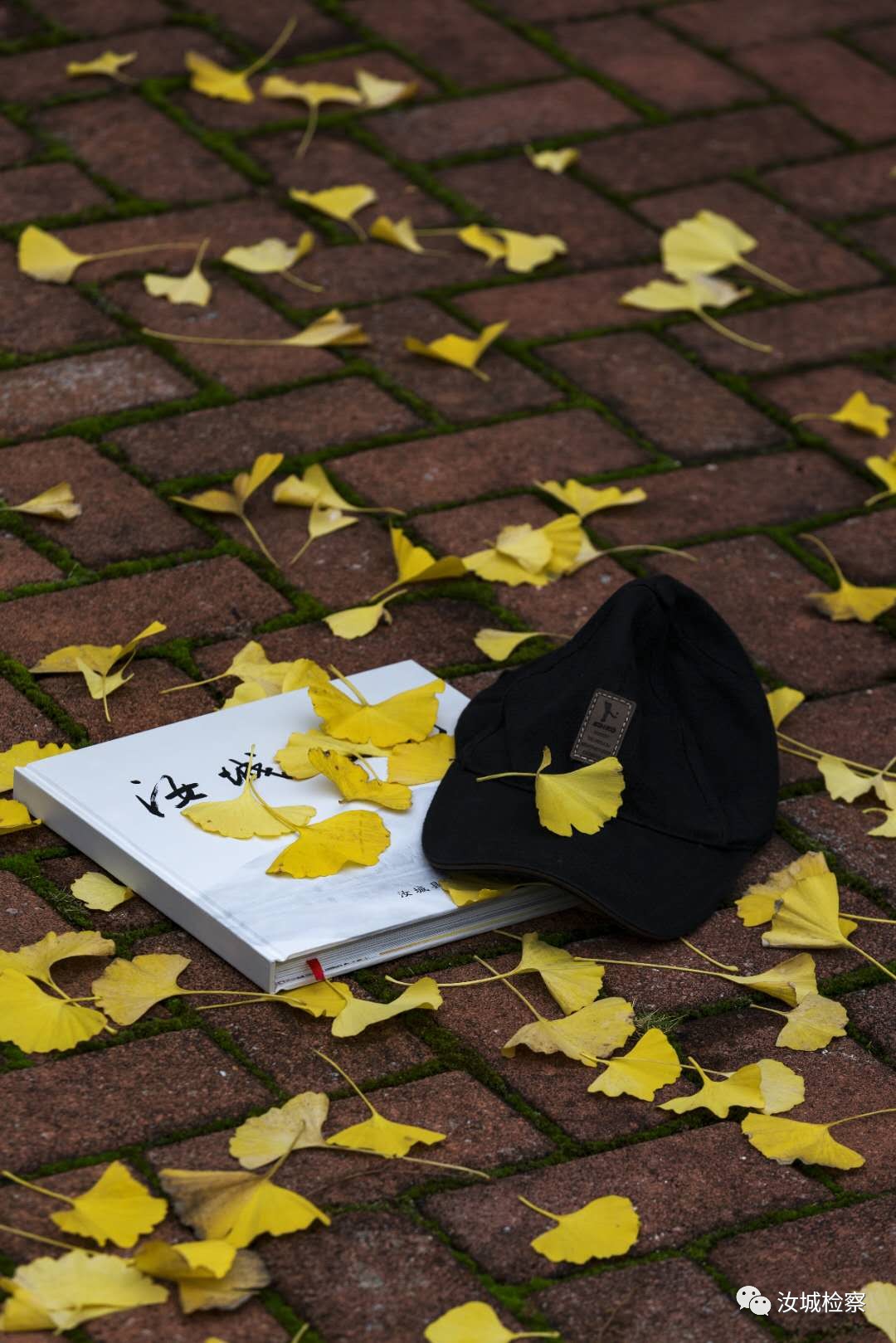 听莫言的蛙读后感,莫言的小说蛙读后感