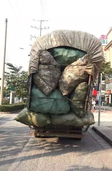 这些马路上的定时*弹炸**,99%的过路司机都怕它,在路上离它越远越好!