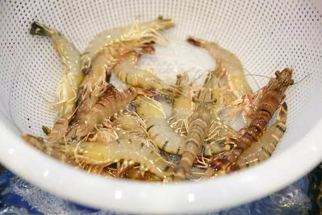 霸气!晋江这家店在火锅界已经拉仇恨了,锅底免费+3元开吃……