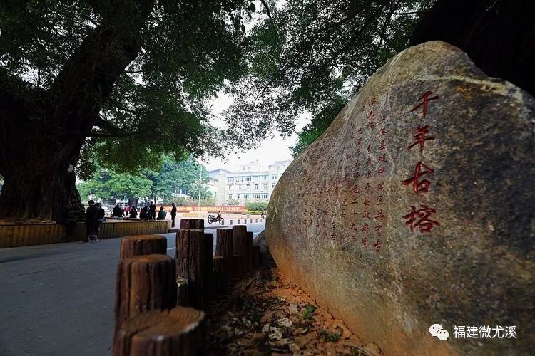 尤溪夏天旅游,关于尤溪的风景介绍