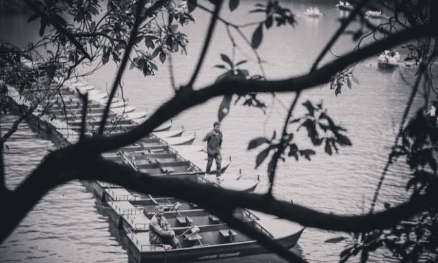 黔南原始森林风景,遇见森林风景