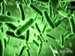 接吻不传染感冒,但可能“毒”!