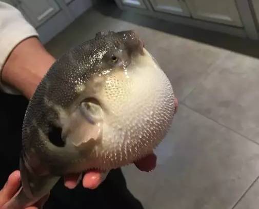 热门餐厅榜沈阳,沈城餐烤家特色餐厅