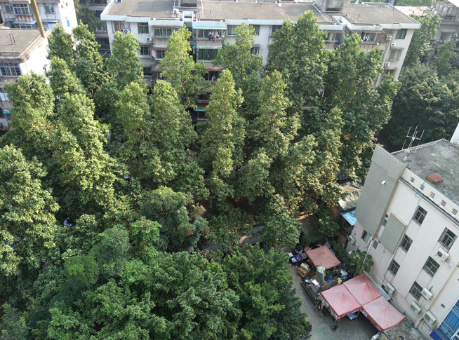 双摄像头评测视频,双摄摄像头测评