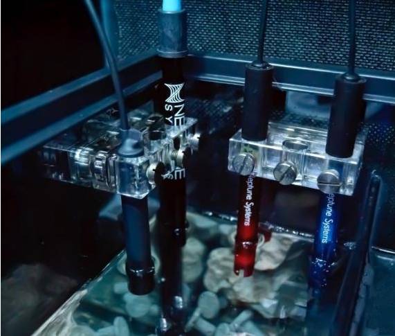 新手玩海缸教程,初学者玩海缸视频