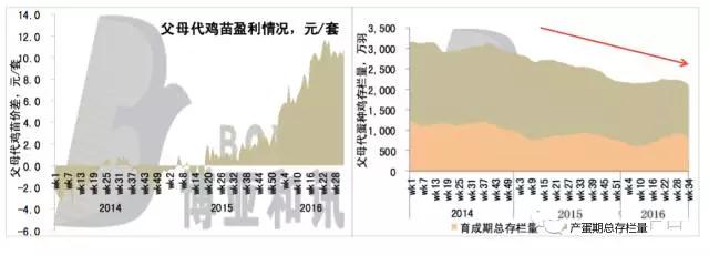 2020年中国蛋鸡业的规模,蛋鸡行业分析报告
