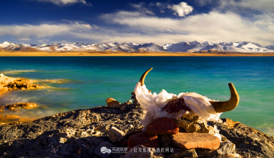 逃离香格里拉,逃离唐古拉山