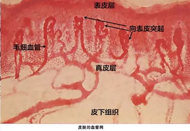 天生高原红的脸用什么修复,高原红的脸用什么修复敏感肌