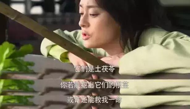 看剧学中医？麝香致不孕、艾叶安胎、阿胶补血都是古装剧瞎编的