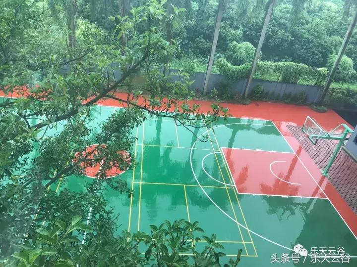 你那爱旅行的青蛙儿子，最近去乐天云谷了~