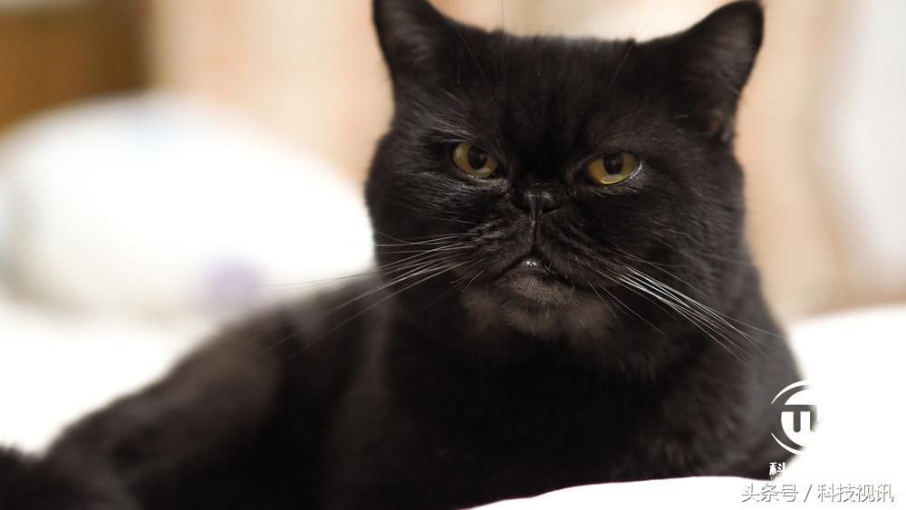 奥林巴斯45mm1.8镜头测评,奥林巴斯14-150ii镜头评测