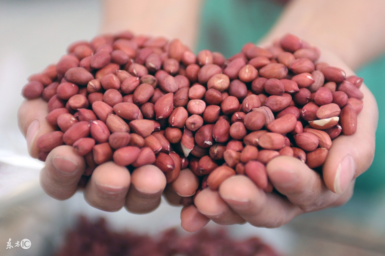 花生养胃是吃生花生还是熟花生,每天吃几颗花生是不是可以养胃