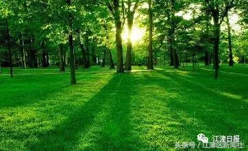 有你家的孩子吗,有你家娃吗