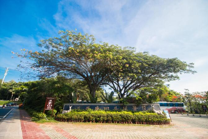 和父母的三亚之旅,带着爸妈去海岛旅游