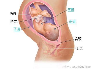 36周婴儿肺部发育差点问题大吗,婴儿发育标准对照表0到36个月