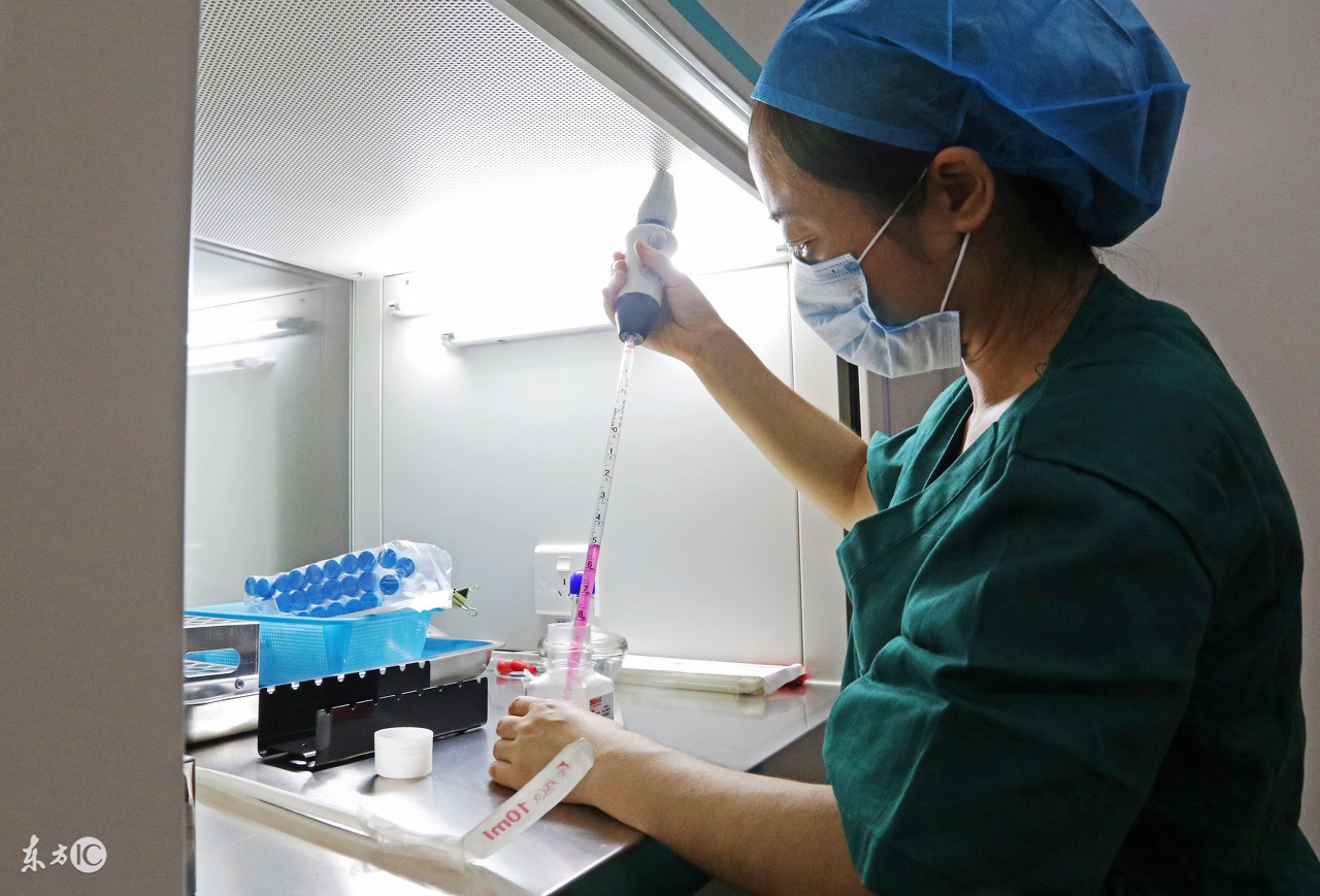 蜜蜂人工体内授精全过程,蜜蜂人工授精最新技术