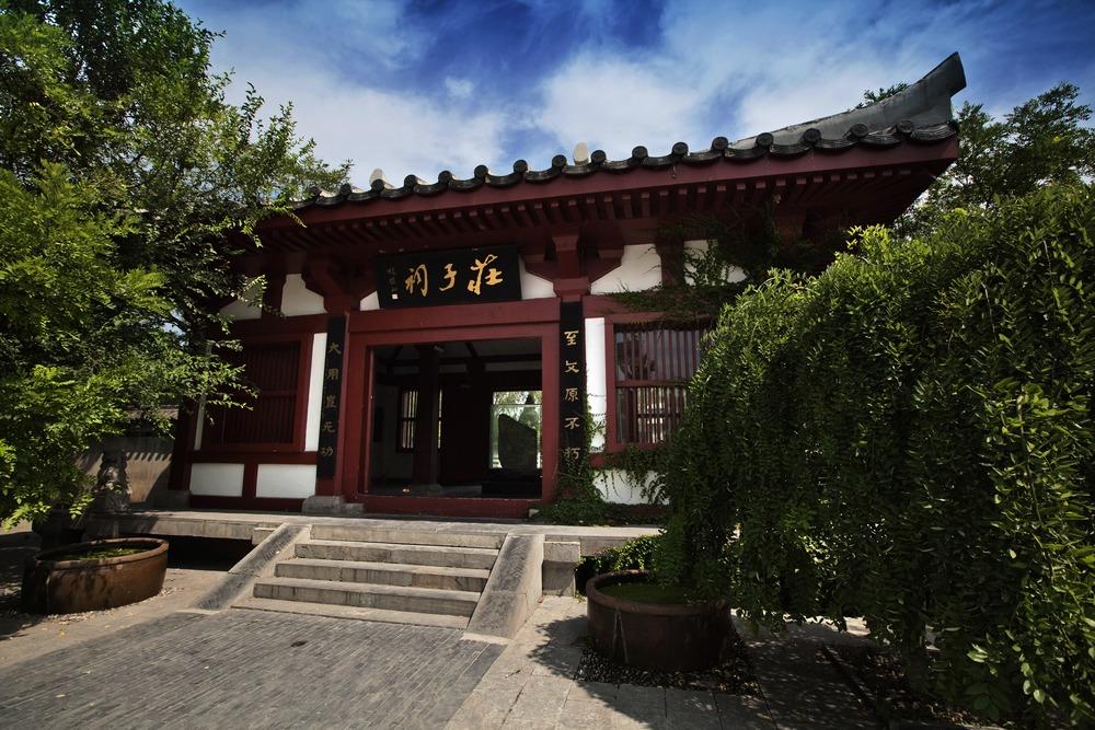 世界上最好的养生药,十大最养生药