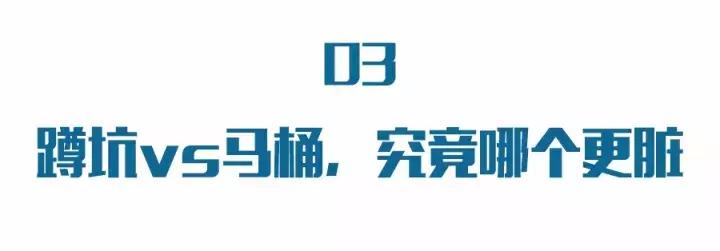 装修用马桶还是蹲坑好,公卫装马桶还是蹲坑好