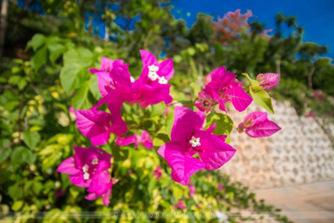 和父母的三亚之旅,带着爸妈去海岛旅游
