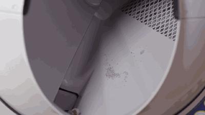 养猫如何不铲屎,什么猫不用铲屎呢