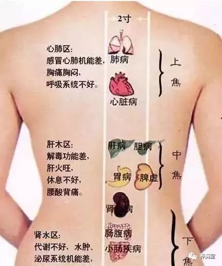 为什么女人过了30长胖,女人过了30岁就容易发福