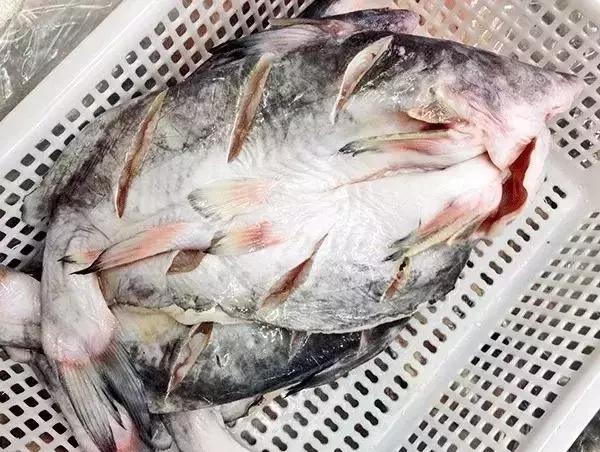 烤鱼店十款烤鱼秘制配方制作工艺,正宗烤鱼制作方法全过程