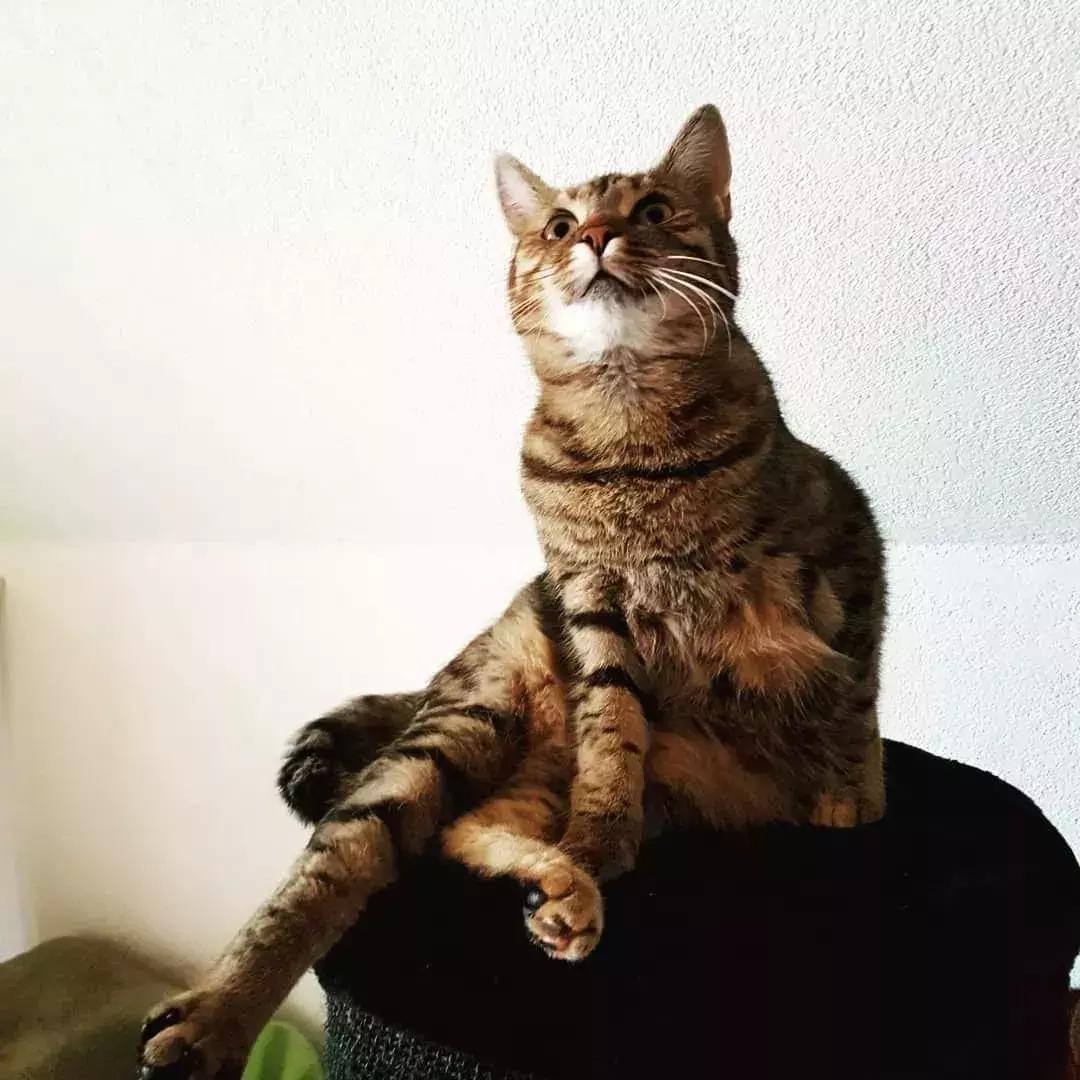 本年度最后悔购物清单，比比到底谁更惨