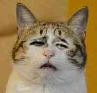 ios开放世界仙侠游戏推荐,好玩的仙侠手游不氪金能双修吗