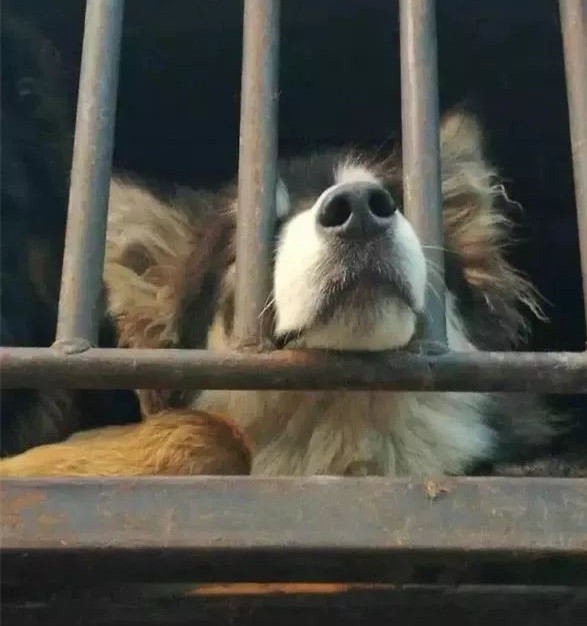 在你眼里再好的东西都是一文不值,在你眼里一文不值在别人眼里是宝