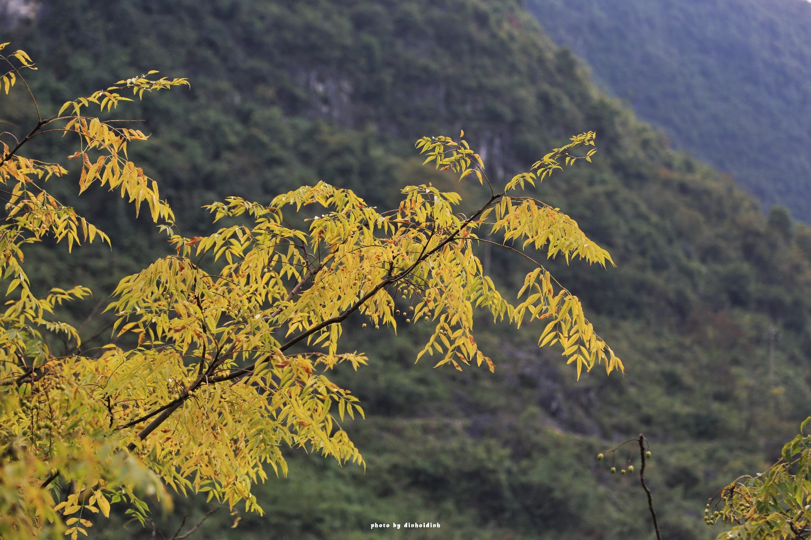 天等小记-登一座山爱一座城看一片天等日夕晨