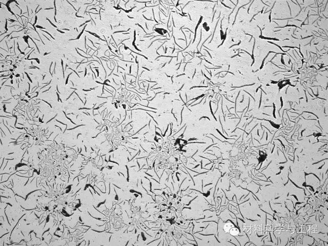 材料的微观组织结构,材料按微观结构可分为