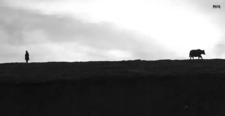 马可设计师,马可设计师理念